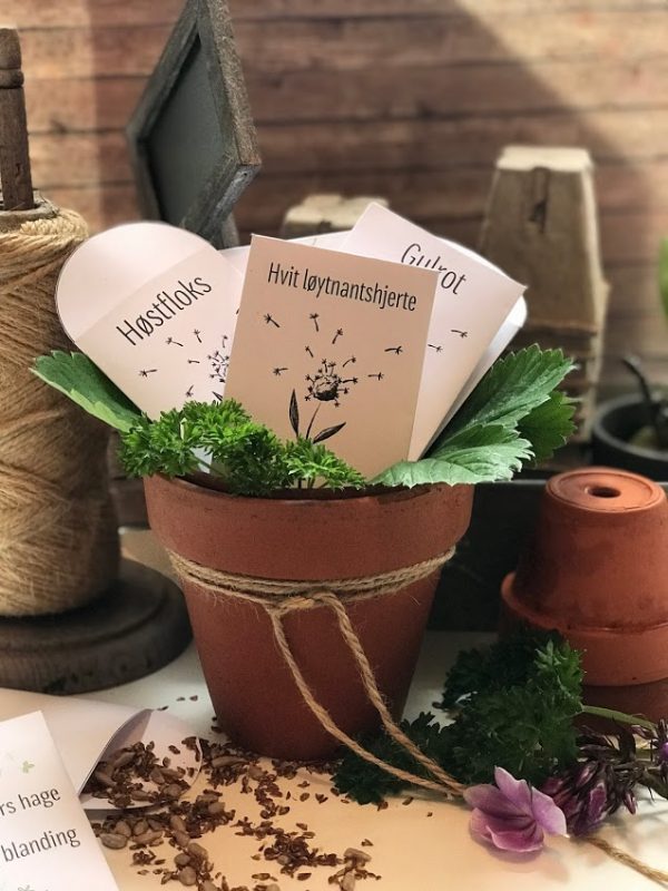 Lag frøposene selv - flotte gaver til hagevenner